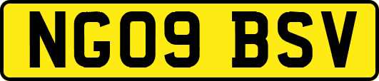 NG09BSV