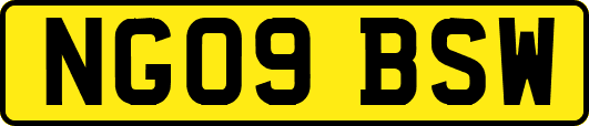 NG09BSW