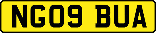 NG09BUA