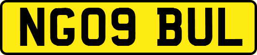 NG09BUL