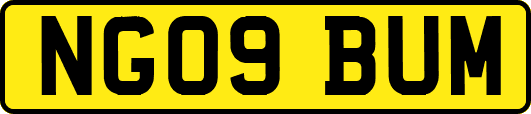 NG09BUM
