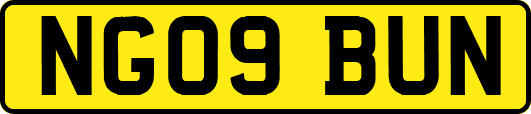 NG09BUN