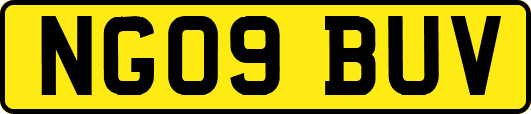 NG09BUV