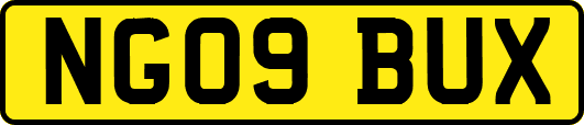 NG09BUX