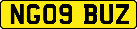 NG09BUZ