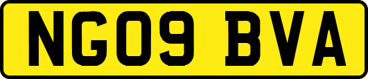 NG09BVA
