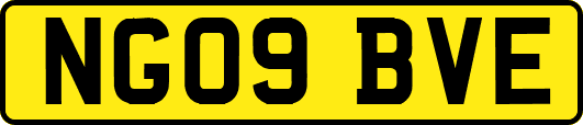 NG09BVE