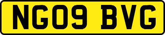 NG09BVG