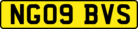 NG09BVS