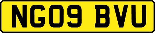 NG09BVU