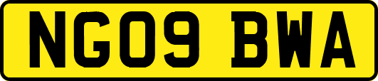 NG09BWA