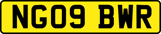 NG09BWR