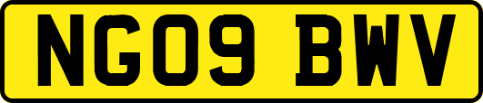 NG09BWV
