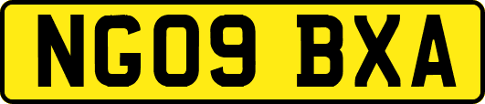 NG09BXA