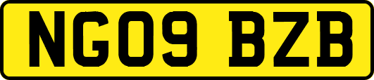 NG09BZB