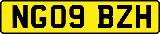NG09BZH