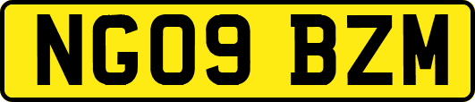 NG09BZM