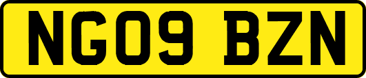 NG09BZN
