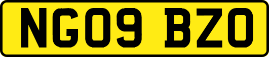 NG09BZO