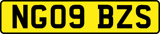 NG09BZS