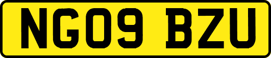 NG09BZU