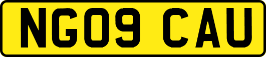 NG09CAU