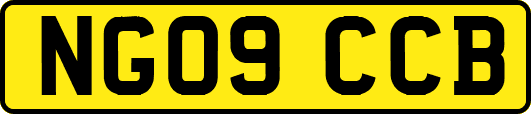 NG09CCB