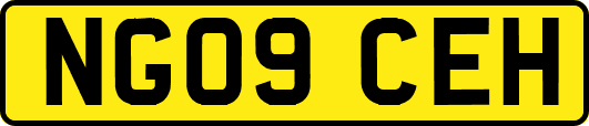 NG09CEH