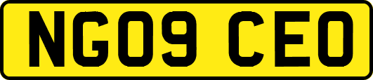 NG09CEO