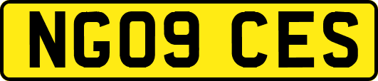 NG09CES