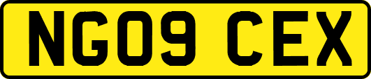 NG09CEX