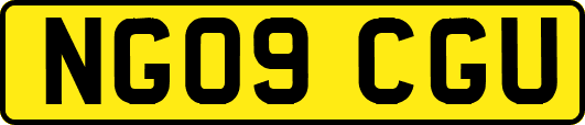 NG09CGU