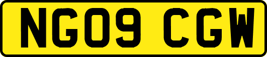 NG09CGW
