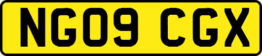 NG09CGX