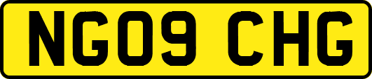 NG09CHG