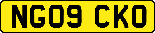 NG09CKO