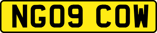 NG09COW