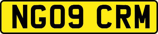 NG09CRM