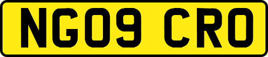 NG09CRO