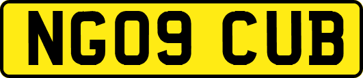 NG09CUB