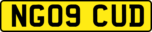 NG09CUD