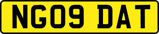 NG09DAT