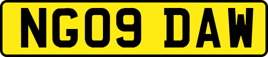 NG09DAW