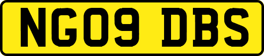 NG09DBS