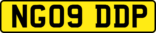 NG09DDP