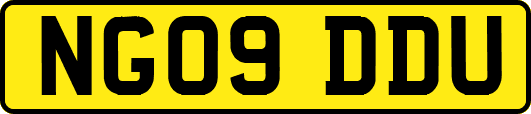 NG09DDU