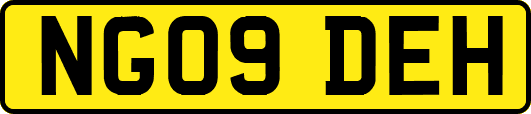 NG09DEH