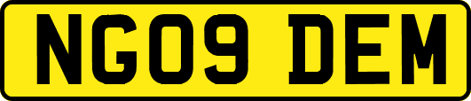 NG09DEM