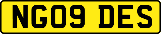 NG09DES