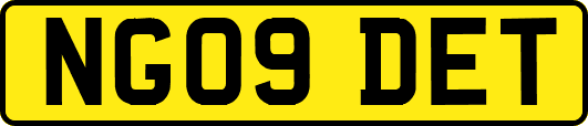 NG09DET